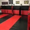 AK Athletic Equipment 20' X 10' - Roll-Up Martial Arts Flooring -Exercise Mat 20152 1