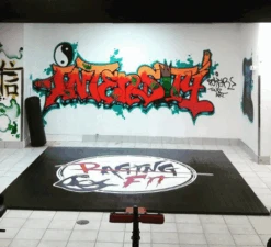 AK Athletic Equipment Your Design Digitally Printed 12' X 12' Roll Up Light Weight Wrestling Mat